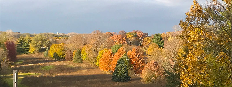 Fall colors in Walworth County Wisconsin