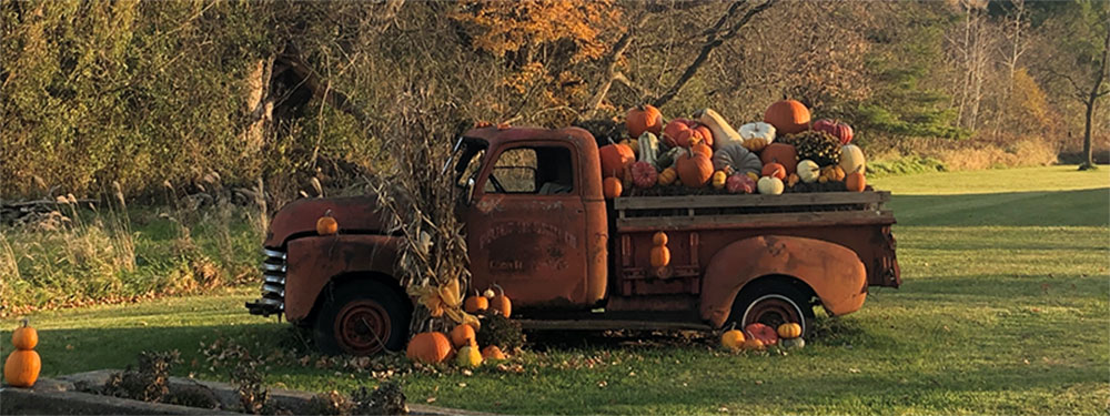 Pumpkins in an old pickup in Lake Geneva Wisconsin